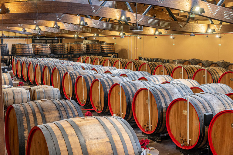Tarragona: Bodegas Yzaguirre guided tour with vermouth tasting Guided tour and tasting of 5 vermouths with a paired appetizer