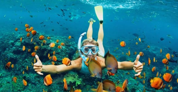 Hoi An: Cham Islands Snorkeling Trip by Speedboat with Lunch