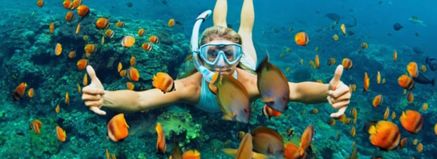 Hoi An : Excursion en bateau rapide pour la plongée en apnée dans les îles Cham avec déjeuner