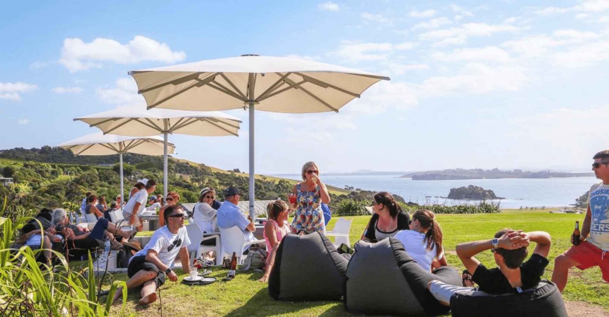 From Auckland, Waiheke Island Wineries' Tour - Hizvo