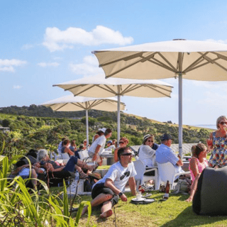 From Auckland: Waiheke Island Wineries' Tour
