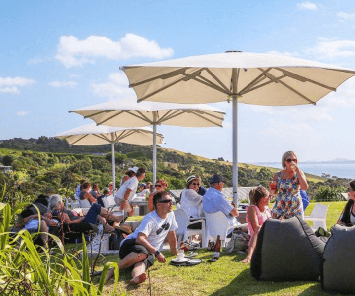 Da Auckland: tour delle cantine dell'isola di Waiheke