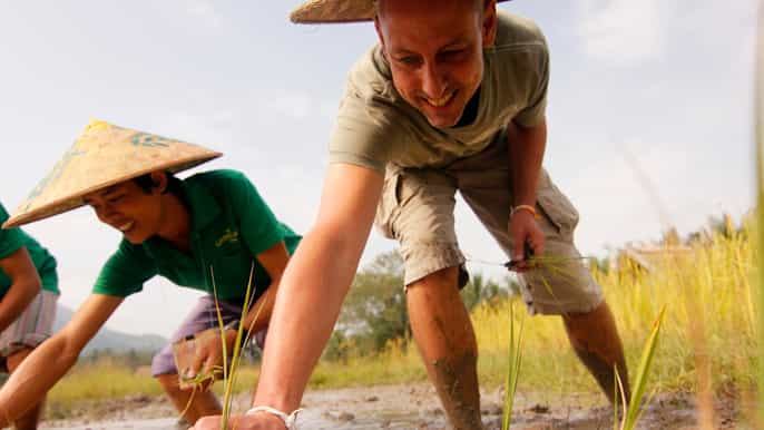 luang prabang rice farm and kuang si waterfall tour
