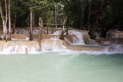 Luang Prabang: Rishögodling och Kuang Si vattenfall