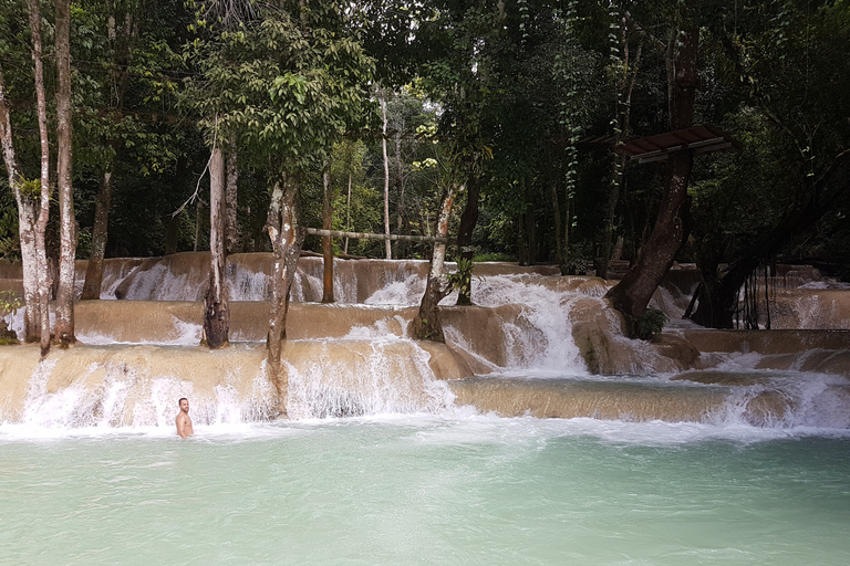 Luang Prabang: Rishögodling och Kuang Si vattenfall