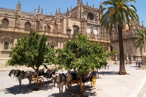 Séville : visite guidée de la cathédrale et de la Giralda avec billets d'entréeVisite en anglais