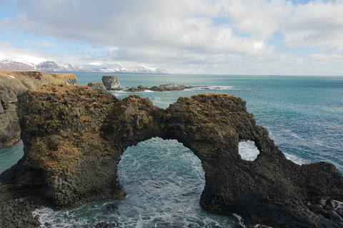 Reykjavik: dagtrip in een kleine groep naar Snæfellsnes