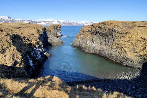 Reykjavik: Tagestour zum Snæfellsjökull-Nationalpark