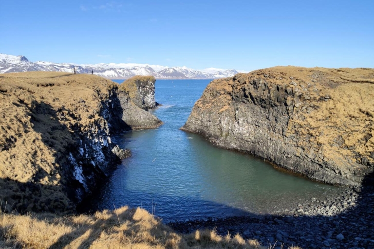 Reykjavik: dagtrip in een kleine groep naar Snæfellsnes