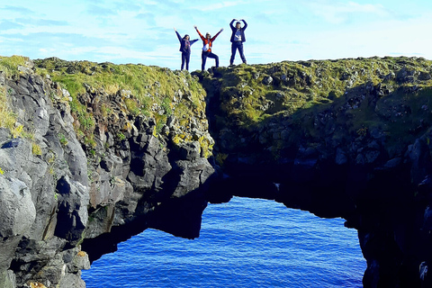 Reykjavik: Tagestour zum Snæfellsjökull-Nationalpark