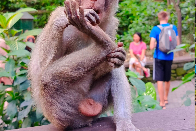 Ubud: Prywatny samochód czarterowy 10 godz.