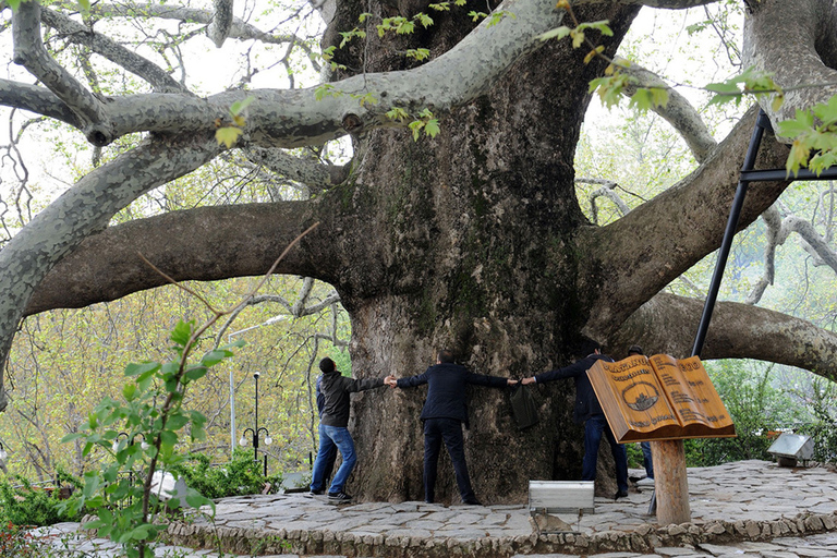 From Istanbul: Private Bursa City Day Trip