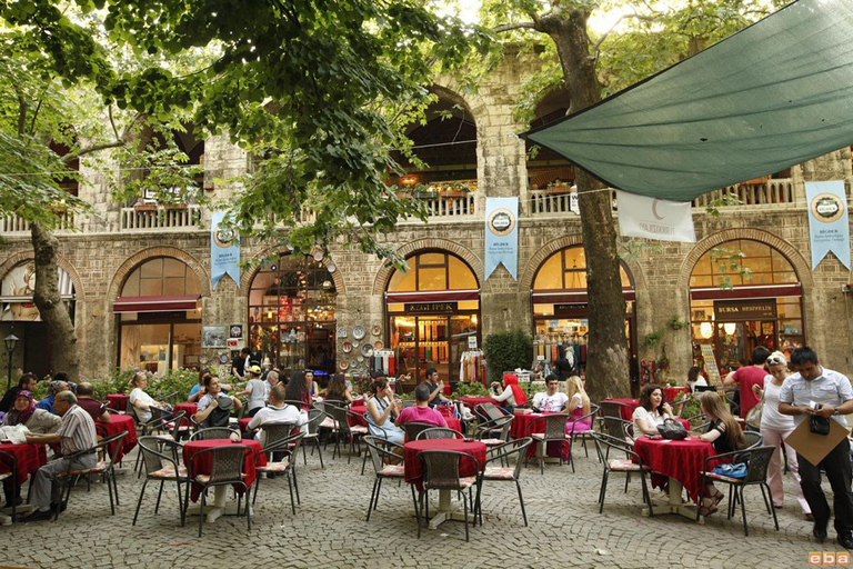 Depuis Istanbul: excursion privée d'une journée à Bursa