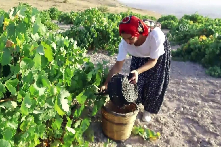 Cappadoce: visite privée d'une demi-journée des vignobles et dégustation de vins