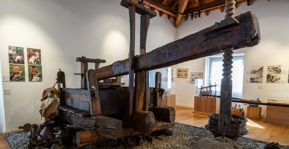 The Madeira Ethnographic Museum Private Tour