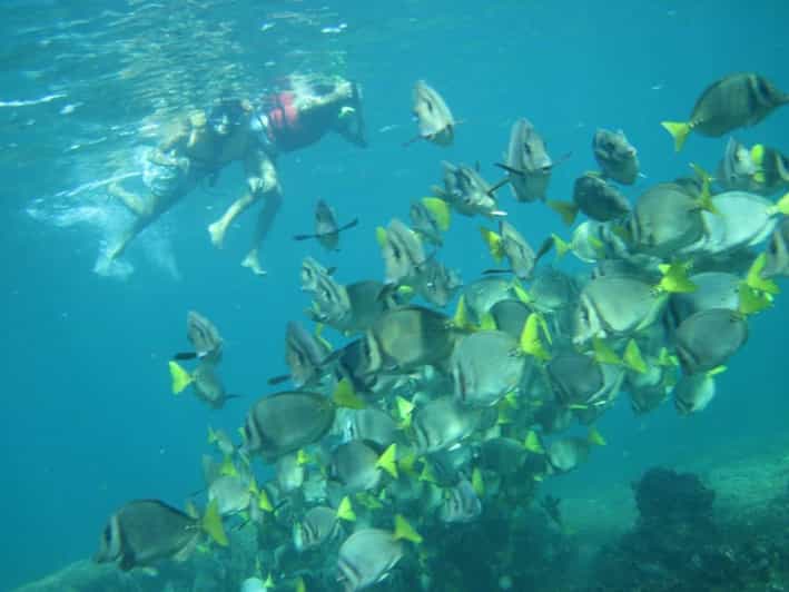 Puerto Escondido Huatulco Snorkel Adventure with Transfer GetYourGuide