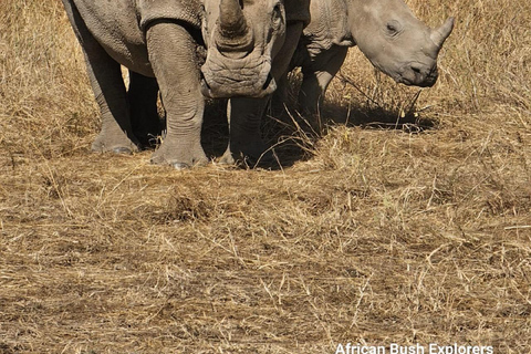 NAIROBI NATIONAAL PARK MIDDAG GAMEDRIVE.