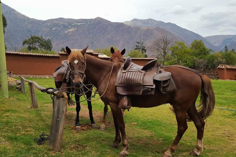 Cusco: całodniowa jazda konna do Maras i Moray
