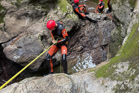 Bled: Adventure Canyoning tour Grmecica
