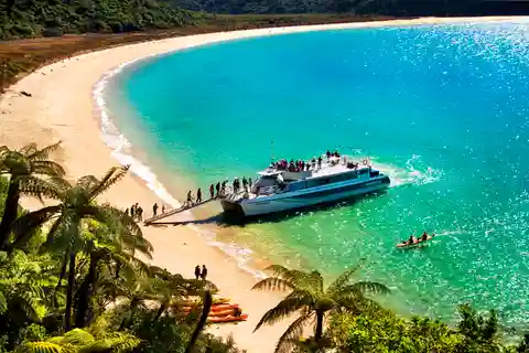 Abel Tasman: Scenic Cruise to Anchorage Bay from Kaiteriteri