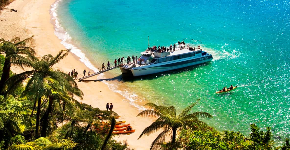 Abel Tasman: Scenic Cruise to Anchorage Bay from Kaiteriteri