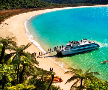 Abel Tasman: Scenic Cruise to Anchorage Bay from Kaiteriteri