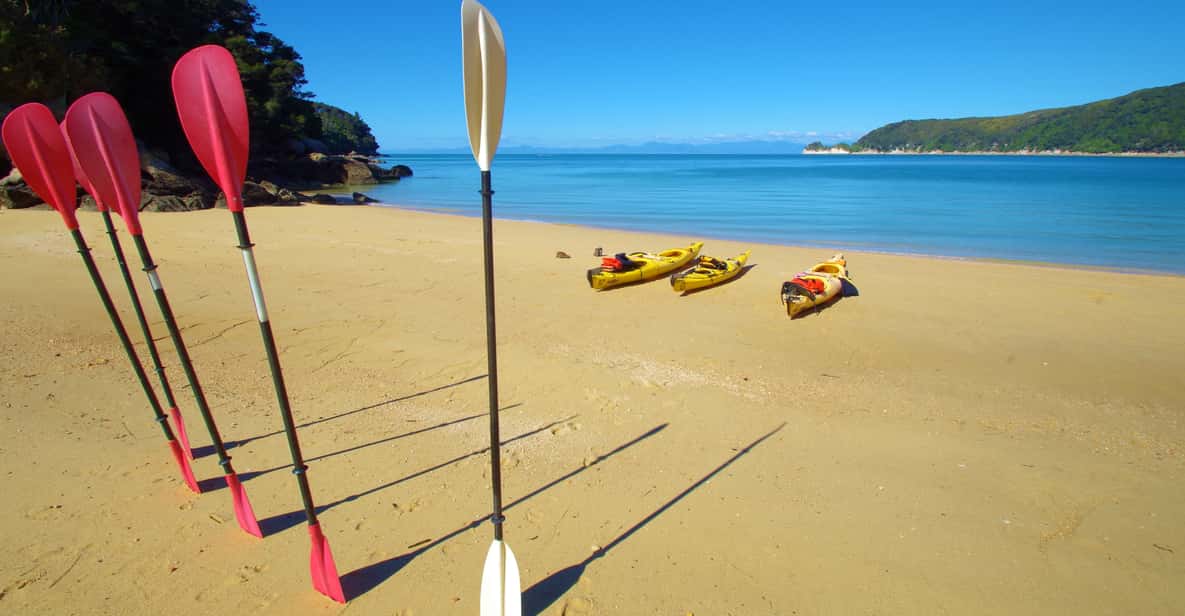 Abel Tasman: Scenic Cruise to Anchorage Bay from Kaiteriteri