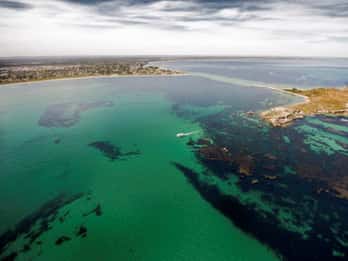 Rockingham: Shoalwater Islands Tour and Penguin Island