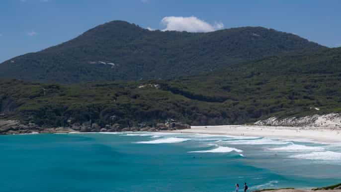 great ocean road phillip island y wilsons promontory tour