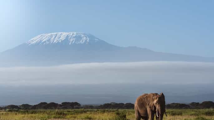 von nairobi Übernachtungssafari im amboselinationalpark