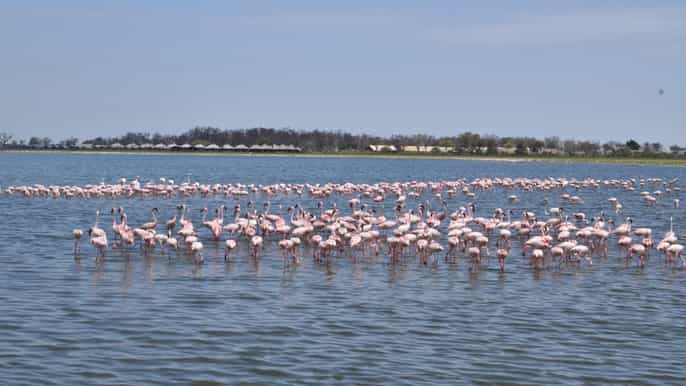 from nairobi amboseli national park 3day tour