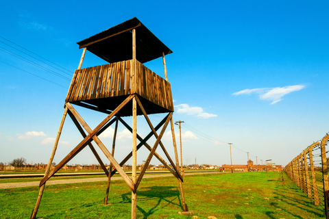 Cracóvia: Visita guiada a Auschwitz com almoço opcional e traslado