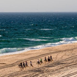 Melides: Equitazione sulla spiaggia con degustazione di vini