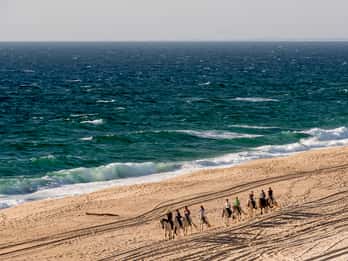 Melides: Horse Riding on the Beach with Wine Tasting