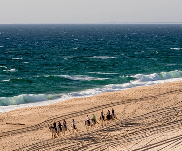 Melides: Passeggiata a cavallo sulla spiaggia con degustazione di vini