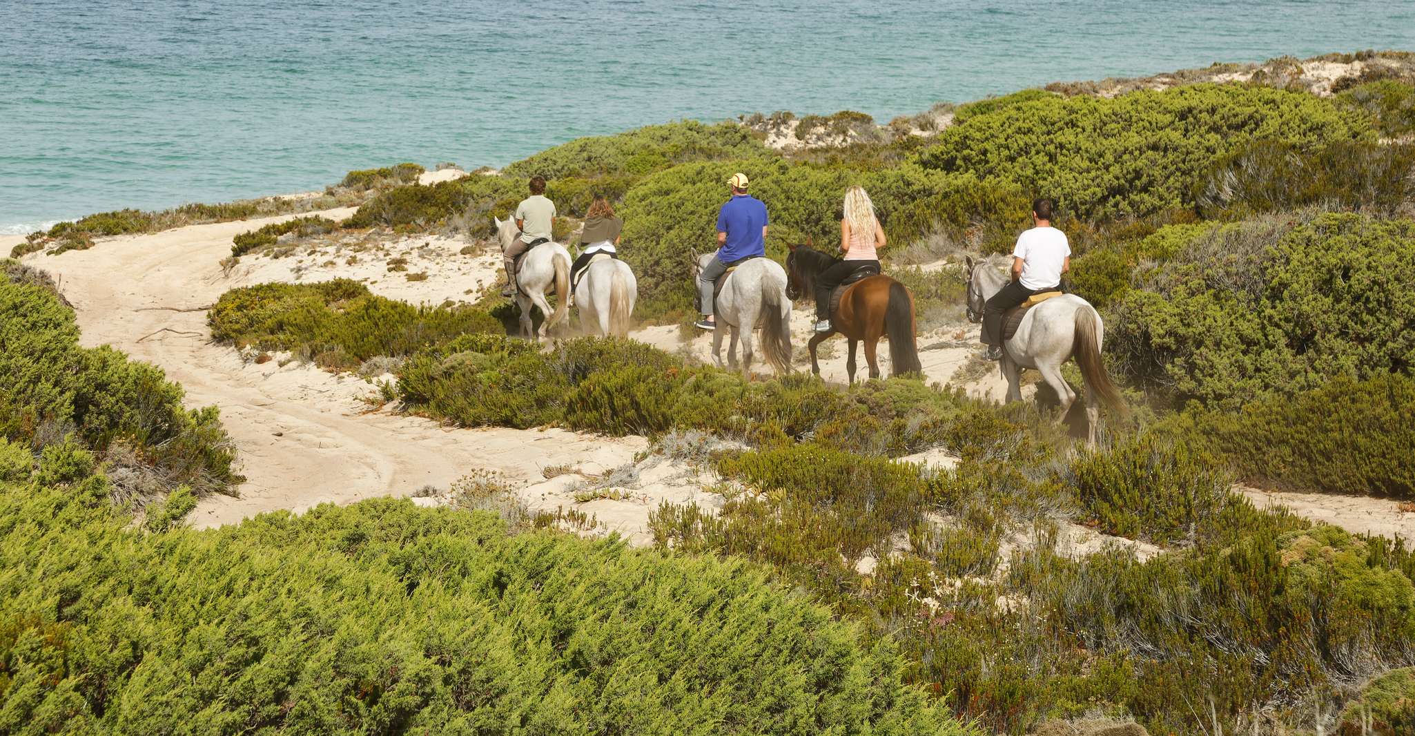 Si fonde, cavalli a cavallo sulla spiaggia con degustazione di vini - Housity