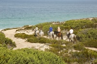 Si fonde, cavalli a cavallo sulla spiaggia con degustazione di vini - Housity