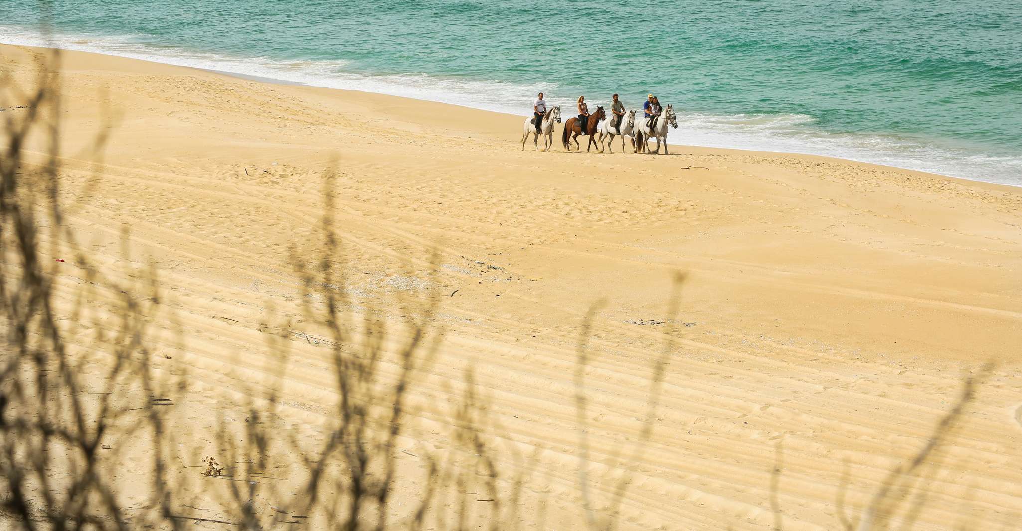 Si fonde, cavalli a cavallo sulla spiaggia con degustazione di vini - Housity