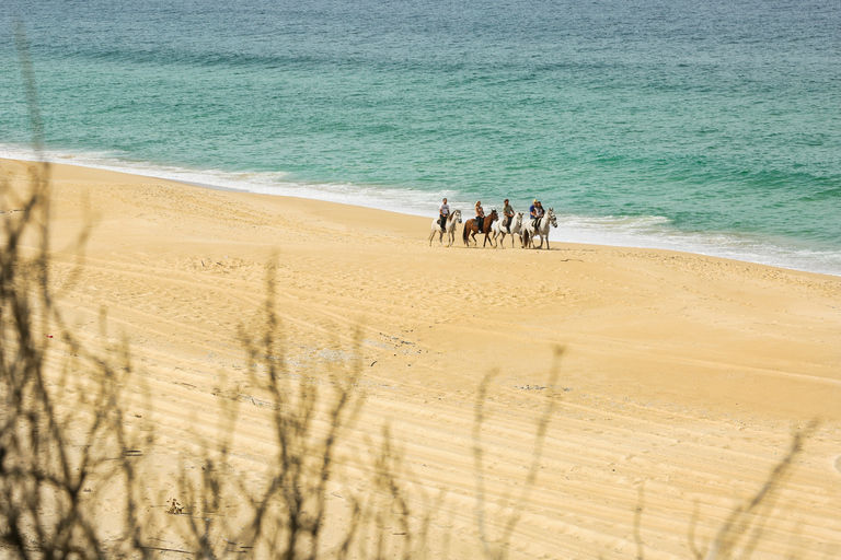 Melides: Horse Riding on the Beach with Wine Tasting Horse Riding with Wine Tasting