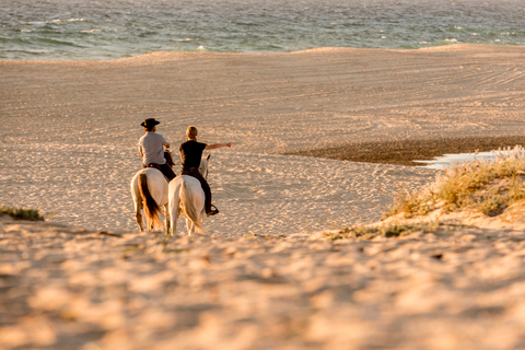 Melides: Horse Riding on the Beach with Wine Tasting Horse Riding with Wine Tasting