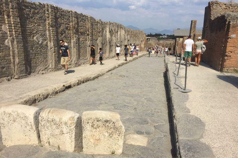 De Roma: Excursão a Pompeia com tudo incluído e guia ao vivoExcursão em Francês