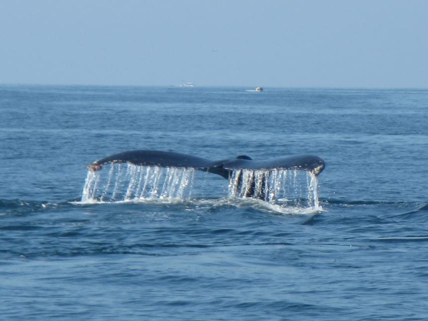 Private Huatulco 5 Or 7 Bays Boat Trip GetYourGuide