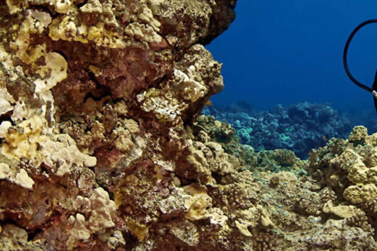 Big Island: 3 timmars snorklings- och seglingsäventyr i WaikoloaStora ön: 3 timmars äventyr med snorkling och segling i Waikoloa