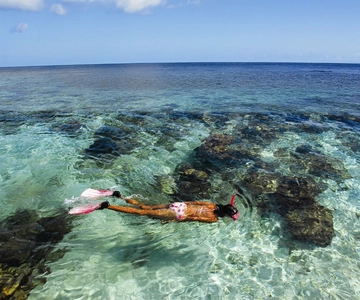Roatán: Daniel Johnson's Monkey/Sloth Sanctuary and Snorkel