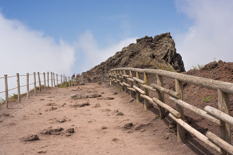 Desde Nápoles o Sorrento: tour de Pompeya y el monte VesubioDesde Nápoles: tour grupal en inglés sin almuerzo