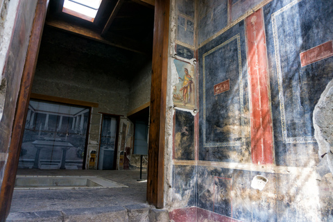 Desde Nápoles o Sorrento: tour de Pompeya y el monte VesubioDesde Nápoles: tour grupal en inglés sin almuerzo