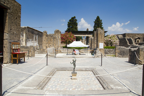 Naples ou Sorrente : visite de Pompéi et du VésuveDe Naples : Visite de groupe en anglais sans déjeuner