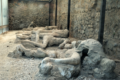 Naples ou Sorrente : visite de Pompéi et du VésuveDe Naples : Visite de groupe en anglais sans déjeuner