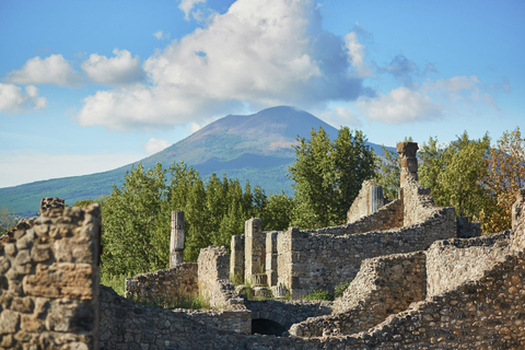 Naples ou Sorrente : visite de Pompéi et du VésuveDe Naples : Visite de groupe en anglais sans déjeuner