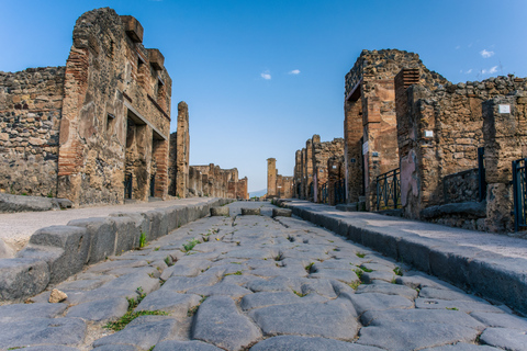 Naples or Sorrento: Full-Day Pompeii and Mount Vesuvius TourFrom Naples: Group Tour in English